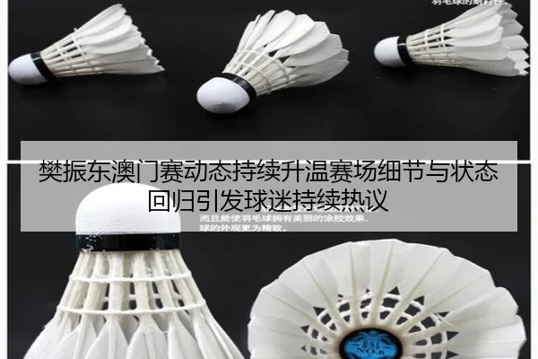 樊振东澳门赛动态持续升温赛场细节与状态回归引发球迷持续热议